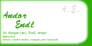 andor endl business card